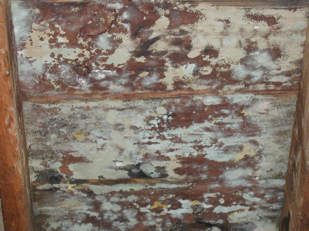 Mold Damage
